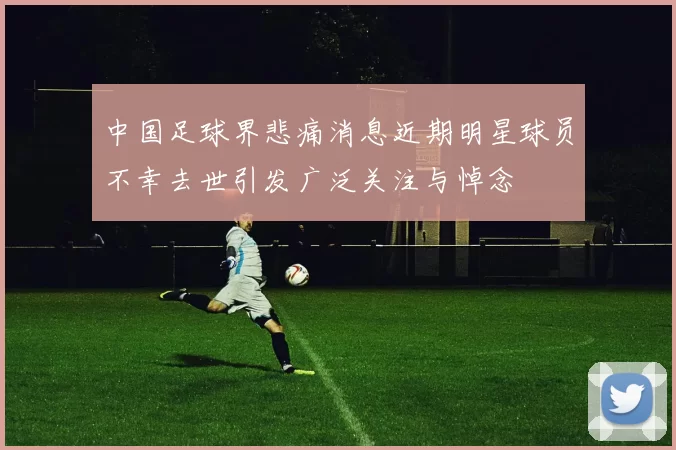 中国足球界悲痛消息近期明星球员不幸去世引发广泛关注与悼念