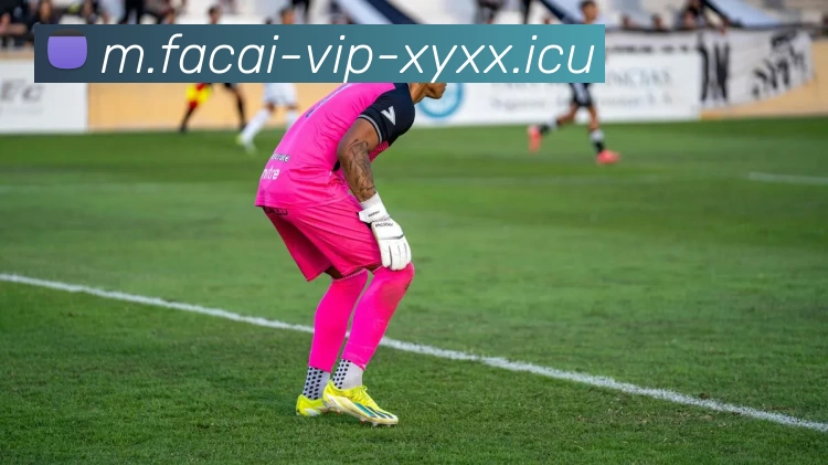 开云体育注册服务体系